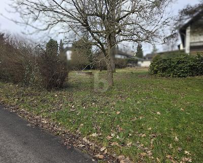 Foto - RUHIGE UND SONNIGE LAGE - 99.000,00&nbsp;EUR Kaufpreis, ca.&nbsp; 541,00&nbsp;m&sup2;