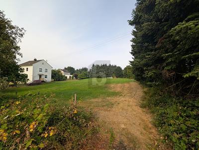 Foto - NATURNAH IN GEWACHSENER WOHNLAGE