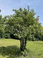 TRAUM VOM EIGENHEIM VERWIRKLICHEN - Stutensee