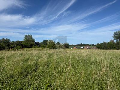 Foto - Grundstück in Riepsdorf