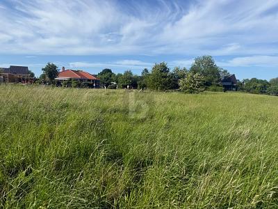 Foto - Grundstück in Riepsdorf zum Kaufen