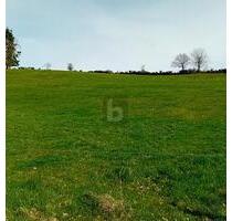 GRUNDSTÜCK MIT BAUPOTENZIAL UND WEITBLICK - Burbach