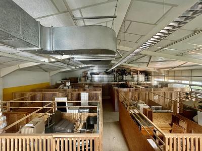 Foto - 4 Zimmer Halle in Freiburg im Breisgau