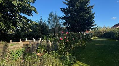 Foto - Einfamilienhaus mit 122,00 m&sup2; in Hinrichshagen zum Kaufen