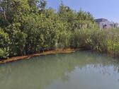Foto - EIGENER ZUGANG ZUM SEE, MIT WERTSTEIGERUNG