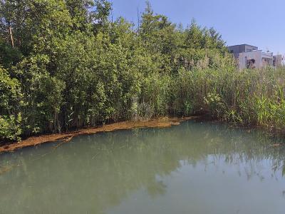 Foto - EIGENER ZUGANG ZUM SEE, MIT WERTSTEIGERUNG