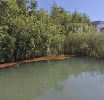 EIGENER ZUGANG ZUM SEE, MIT WERTSTEIGERUNG - Neukieritzsch