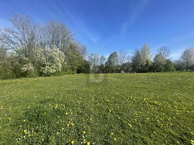 Foto - Freizeitgrundstück in Berg zum Kaufen
