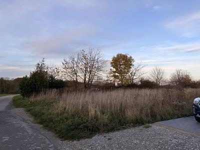 Foto - Grundstück zum Kaufen in Langenberg