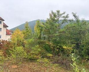 FERTIGES PROJEKT SUCHT UMSETZUNG! - Badenweiler