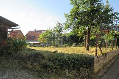 Foto - Bauernhaus, Landhaus mit 100,00 m² in Vogtsburg im Kaiserstuhl zum Kaufen
