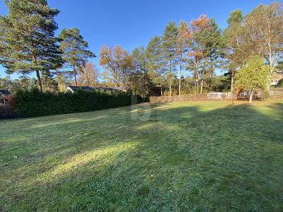 Foto - SONNENVERWÖHNT UND RUHIG + TEILUNG MÖGLICH