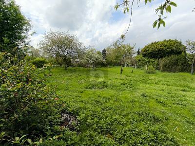 Foto - LANDHAUSFLAIR - IDEAL FÜR NATURFREUNDE