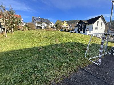 Foto - Grundstück in Weisenbach