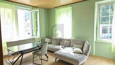 Foto - 19 Zimmer Mehrfamilienhaus, Wohnhaus zum Kaufen in Triberg