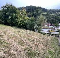 SCHÖNE AUSSICHTEN FÜR EIN GEMEINSAMES ZUHAUSE - Weisenbach