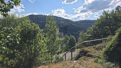 Foto - Grundstück in Triberg zum Kaufen