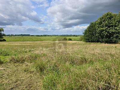 Foto - Doppelhaushälfte mit 94,00 m&sup2; in Plaaz zum Kaufen