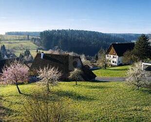 IHR ZUHAUSE ZWISCHEN APFELBÄUMEN - Alpirsbach