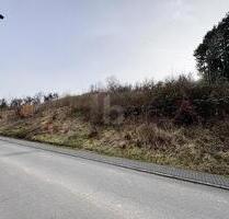 GROßE FLÄCHE MIT POTENZIAL - 173.000,00&nbsp;EUR Kaufpreis, ca.&nbsp; 1.945,00&nbsp;m&sup2; in Welschbillig (PLZ: 54298)