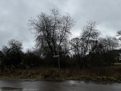 Foto - Grundstück zum Kaufen in Oberbettingen