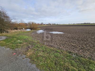 Foto - GROßZÜGIGE BAUFLÄCHE NAHE DER OSTSEE MIT TEICH