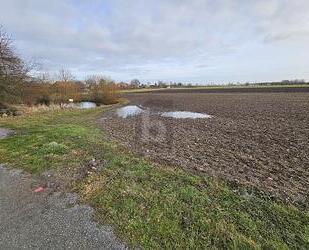 GROßZÜGIGE BAUFLÄCHE NAHE DER OSTSEE MIT TEICH - Fehmarn