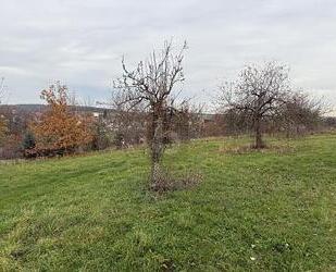 IDYLLISCHES FLECKEN NATUR - 150.900,00&nbsp;EUR Kaufpreis, ca.&nbsp; 1.006,00&nbsp;m&sup2; in Schönbrunn (PLZ: 96185)