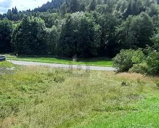 SOFORT BEBAUBAR: GENEHMIGTES WOHNHAUS INKLUSIVE - Lauterbach