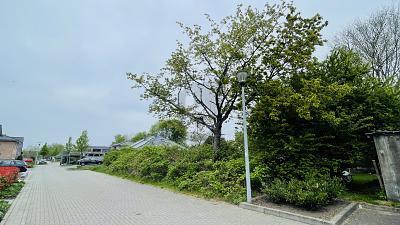 Foto - 