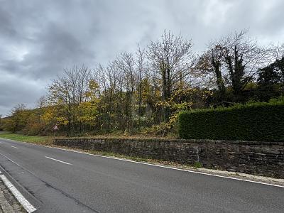 Foto - Grundstück zum Kaufen in Trier