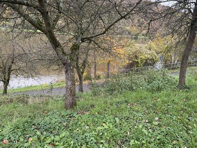 Foto - Grundstück in Trier