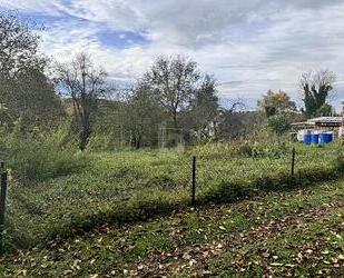 GUT UND NATURNAH GELEGEN - 380.000,00 EUR Kaufpreis, ca.  600,00 m² in Müllheim (PLZ: 79379)