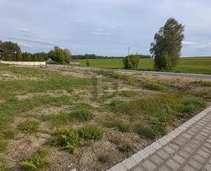 NATURNAH WOHNEN, MODERN BAUEN UND GESTALTEN - Pfaffenhofen an der Glonn