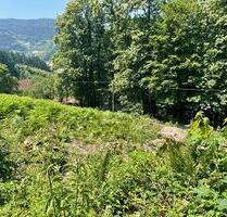 ERSCHAFFEN SIE IHREN WOHNTRAUM IM GRÜNEN - Ottenhöfen im Schwarzwald