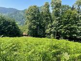 Foto - Grundstück zum Kaufen in Ottenhöfen im Schwarzwald