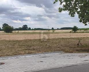 WOHNEN IM GRÜNEN BEGINNT HIER - NEUBAUGEBIET - Dreiheide