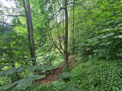 Foto - Grundstück in Nordhalben zum Kaufen