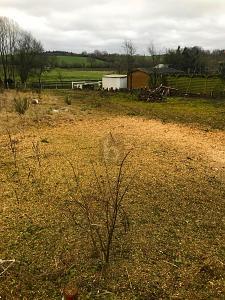 Foto - PERFEKT FÜR FAMILIEN UND OSTSEELIEBHABER