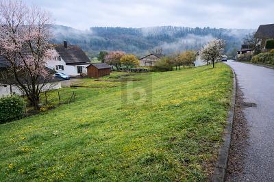 Foto - Grundstück in Starzach zum Kaufen