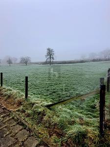 Foto - Grundstück zum Kaufen in Geilenkirchen