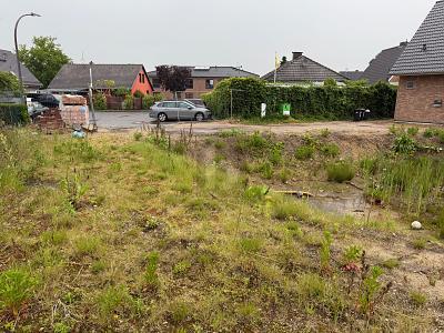 Foto - Grundstück zum Kaufen in Holm