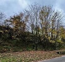 531QM EXKLUSIVES MOSELGOLDSTÜCK IN BESTLAGE - Bullay