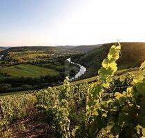 EXKLUSIVE UND SONNIGE LAGE MIT WEINBERG-AUSSICHT - Wiltingen