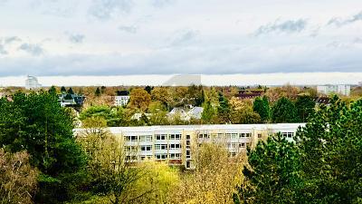 Foto - FIRMEN DOMIZIL OBERHALB DER BAUMKRONEN