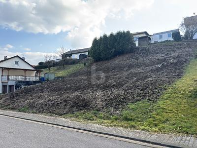 Foto - Grundstück zum Kaufen in Beckingen