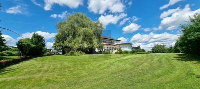 Foto - 23 Zimmer Hotel, Pension, Gasthof zum Kaufen in Lügde