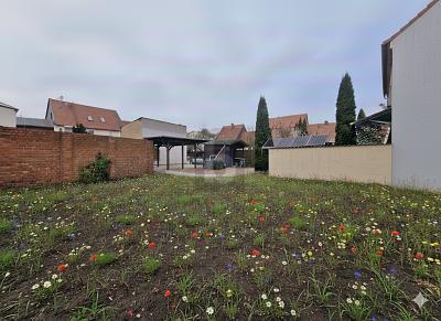 Foto - Grundstück zum Kaufen in Sternberg