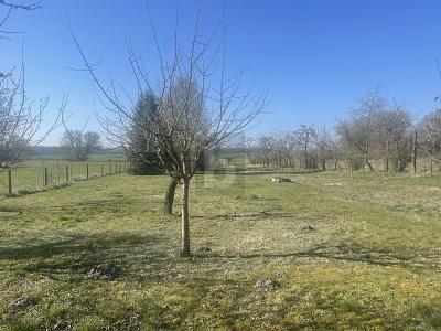 Foto - Bauernhaus, Landhaus mit 120,00 m&sup2; in Großwoltersdorf zum Kaufen