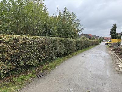 Foto - Grundstück zum Kaufen in Fürstenau